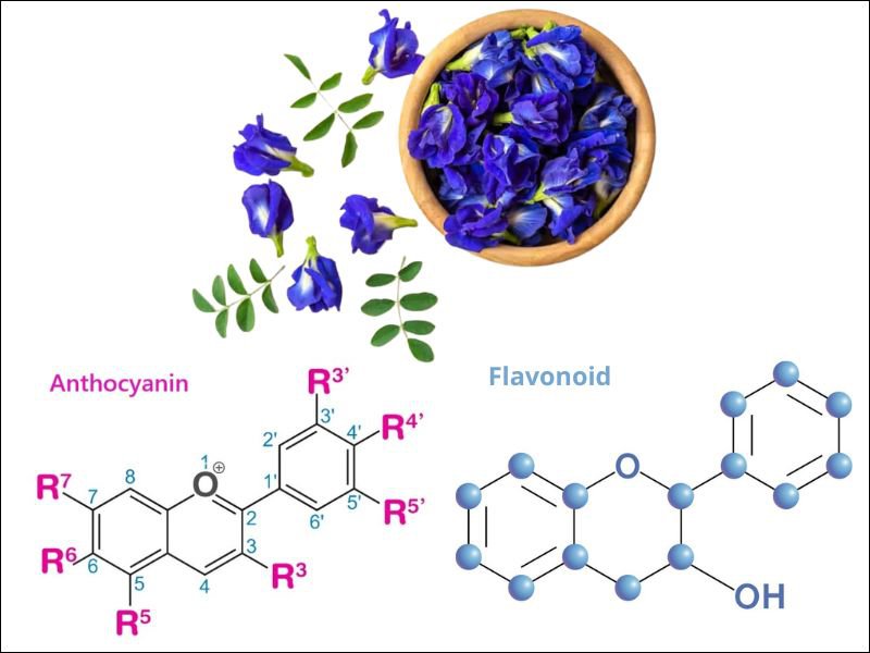 Flavonoid va anthocyanin