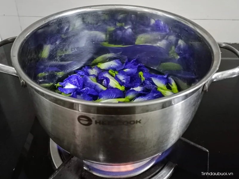 phuong phap chiet xuat hoa dau biec