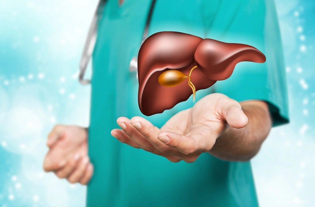 Tác dụng của hoa đậu biếc đối với gan tac dung cua hoa dau biec doi voi gan