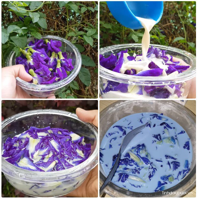 cach lam kem hoa dau biec