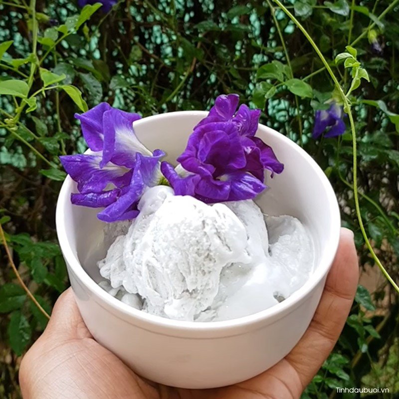 cach lam kem hoa dau biec