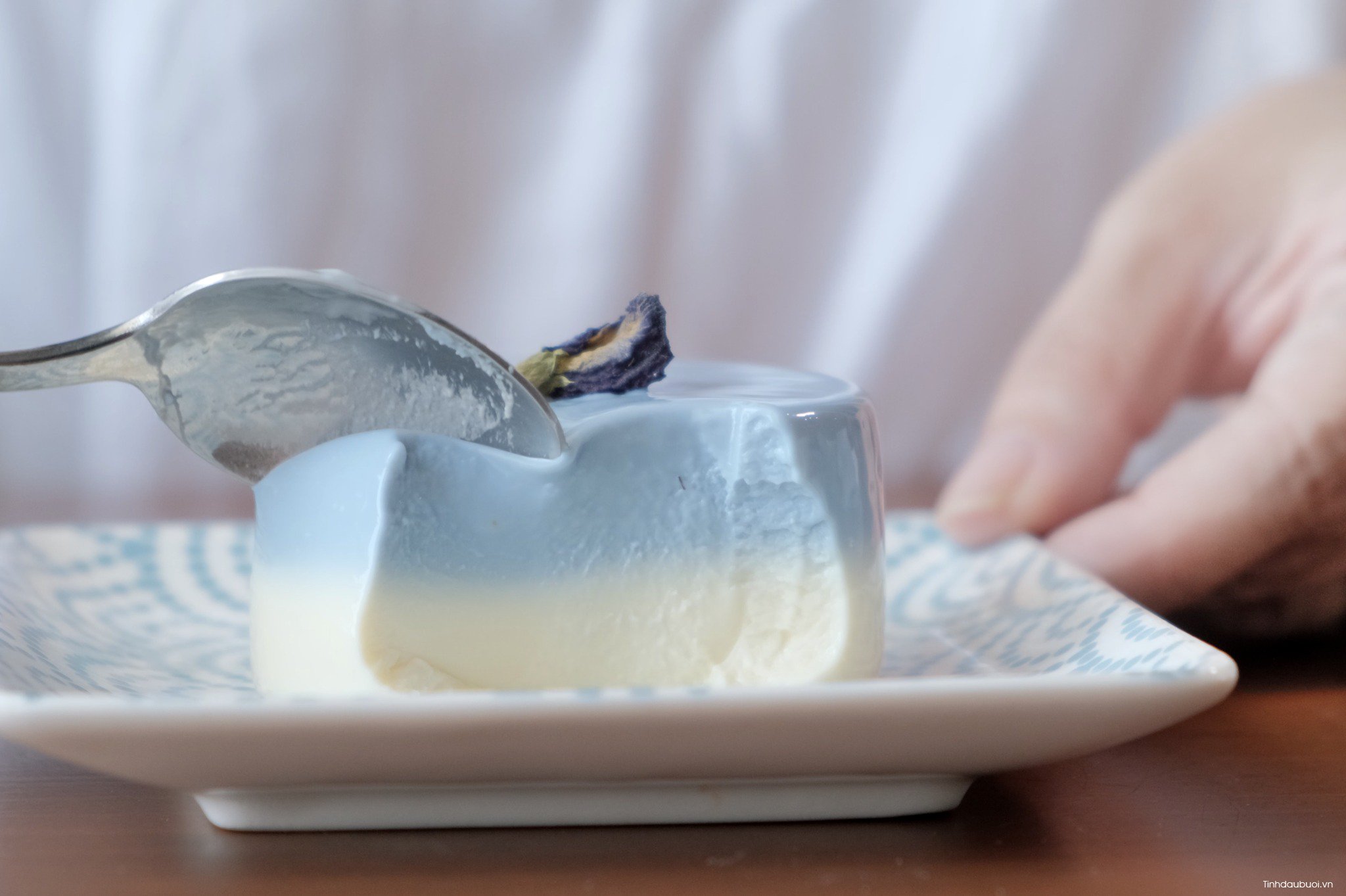 cach lam panna cotta hoa dau biec