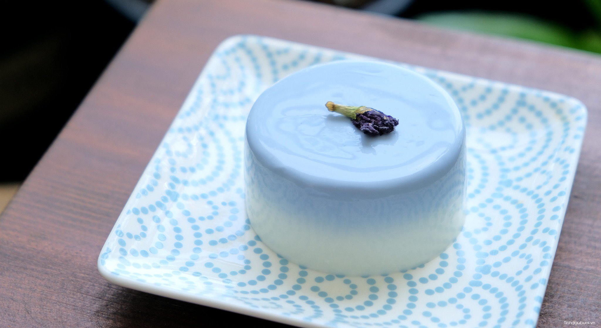 cach lam panna cotta hoa dau biec