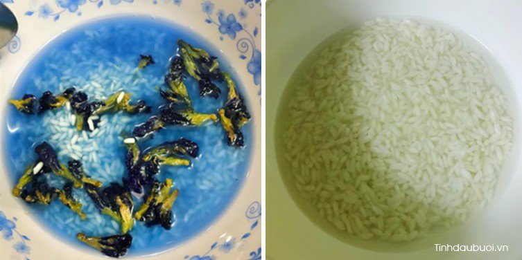 xôi hoa đậu biếc cốt dừa kem lá dứa xoi hoa dau biec cot dua kem la dua