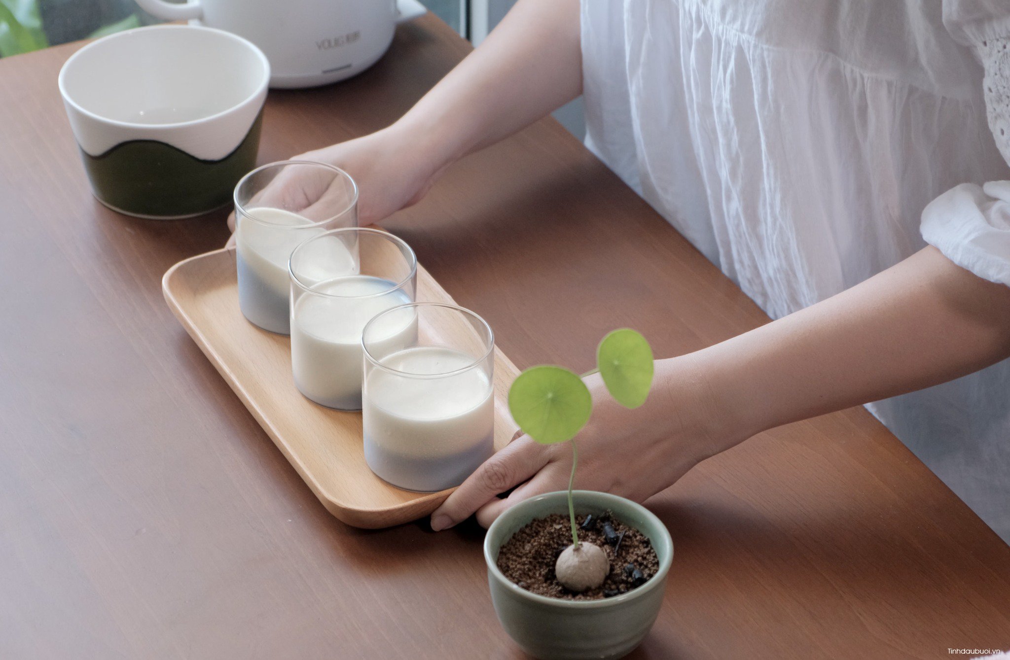 panna cotta