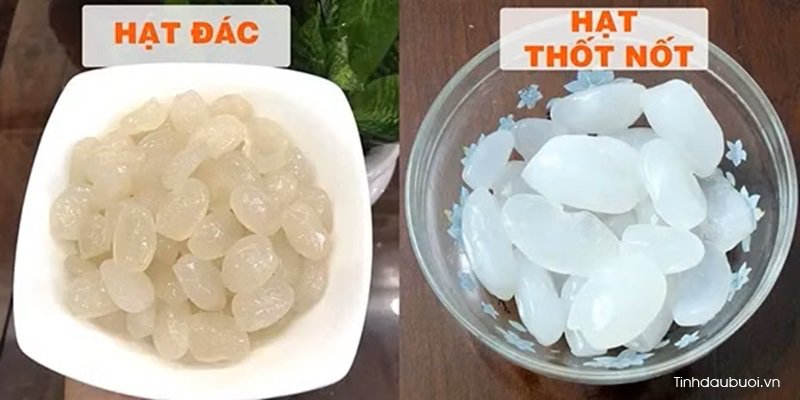 phan biet hat dac va thot not