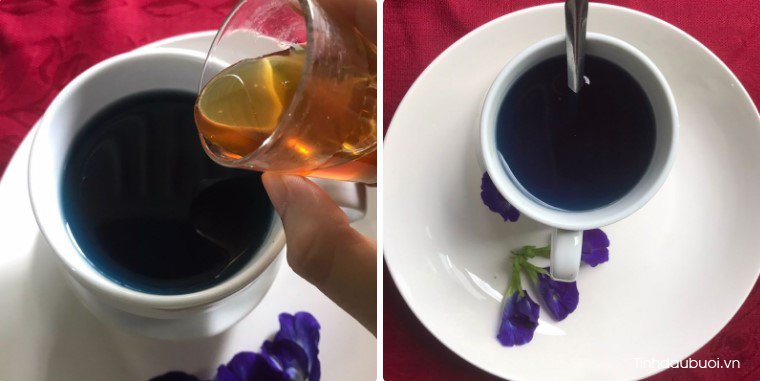 trà hoa đậu biếc mật ong tra hoa dau biec mat ong