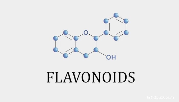 Flavonoid