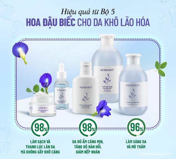 cong dung cua bo 5 hoa dau biec herbario
