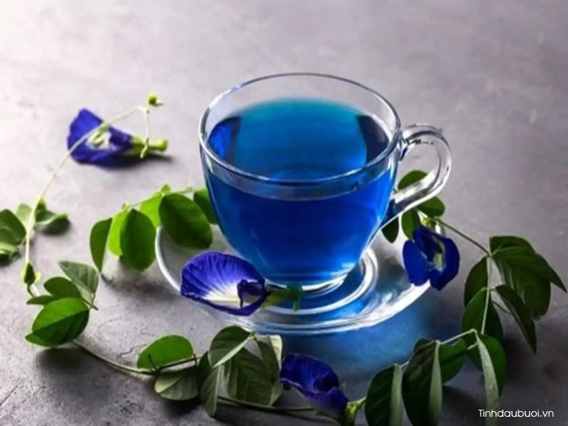 tra hoa dau biec tieng anh la gi