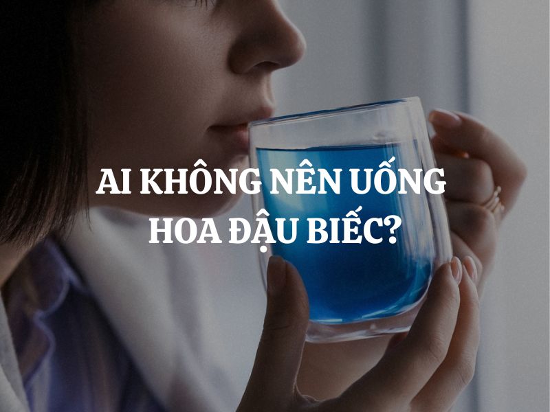 Ai không nên uống hoa đậu biếc: Những đối tượng cần đặc biệt lưu ý
