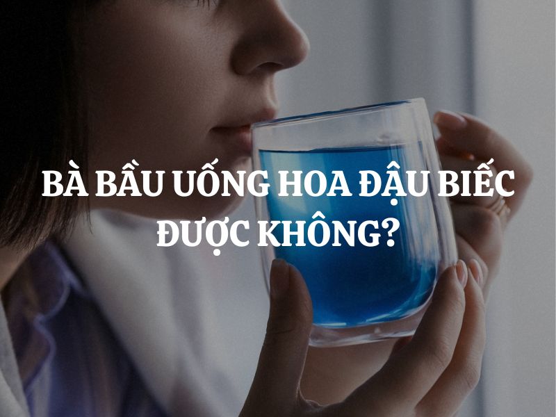 Bà bầu uống hoa đậu biếc được không? Những rủi ro cần biết