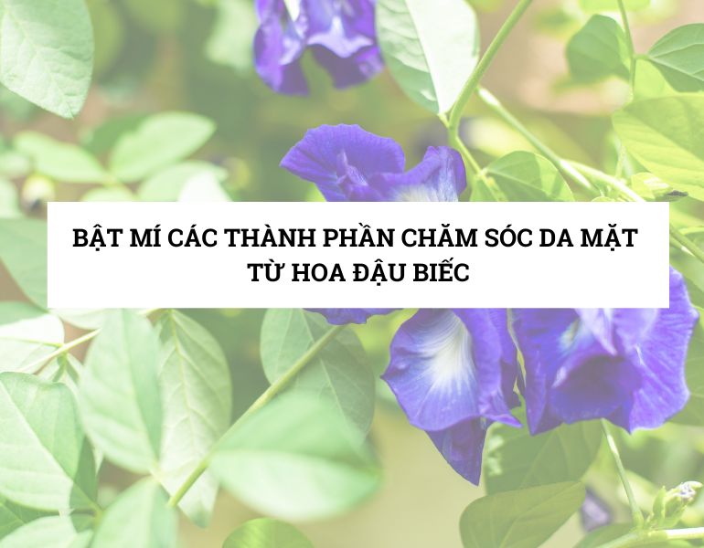 Bật mí các thành phần chăm sóc da mặt từ hoa đậu biếc