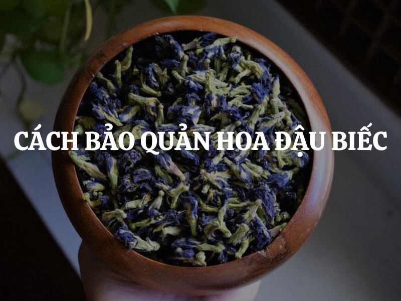 Cách bảo quản hoa đậu biếc để giữ được màu sắc, hương thơm và dưỡng chất tự nhiên?