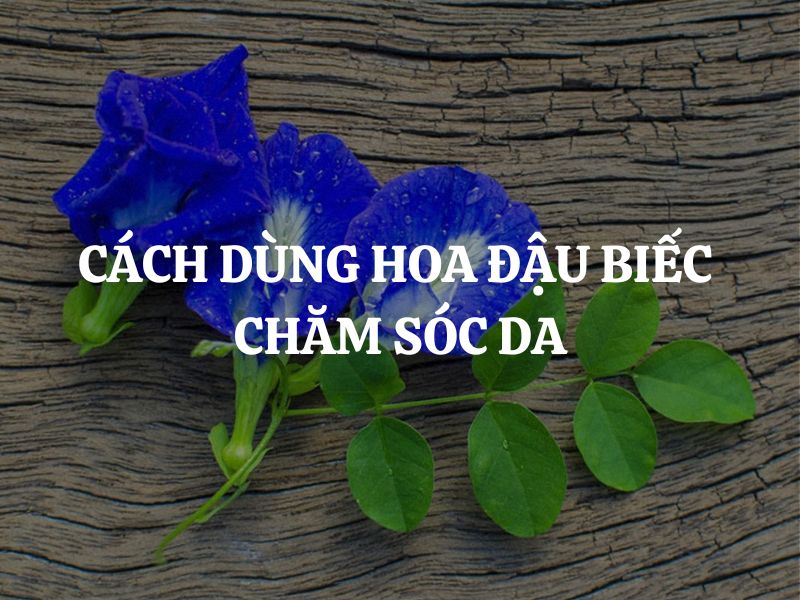 Cách dùng hoa đậu biếc chăm sóc da: Bí quyết làm đẹp cho làn da khỏe khoắn