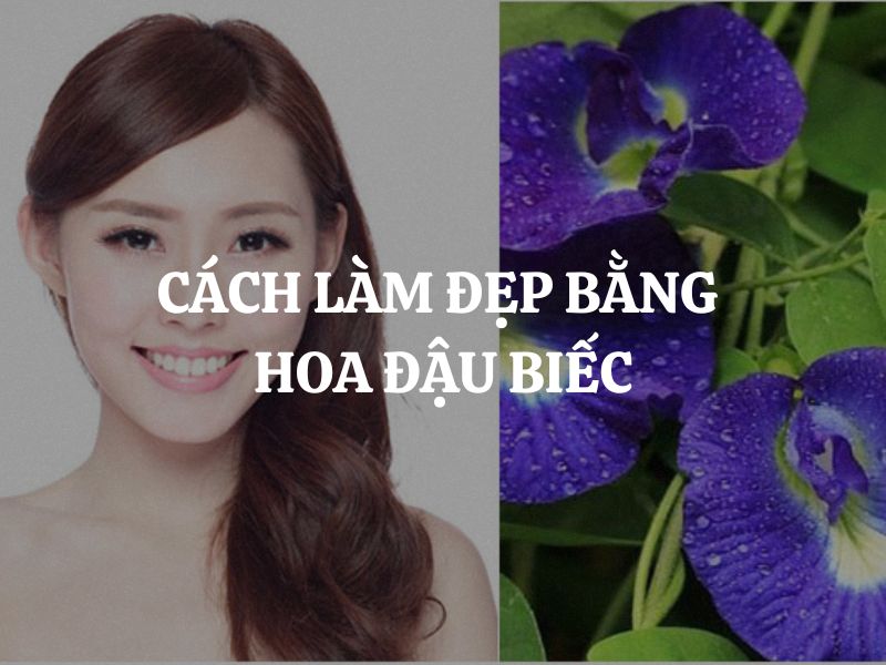 Cách làm đẹp bằng hoa đậu biếc: Bí quyết dưỡng da và tóc tự nhiên, an toàn