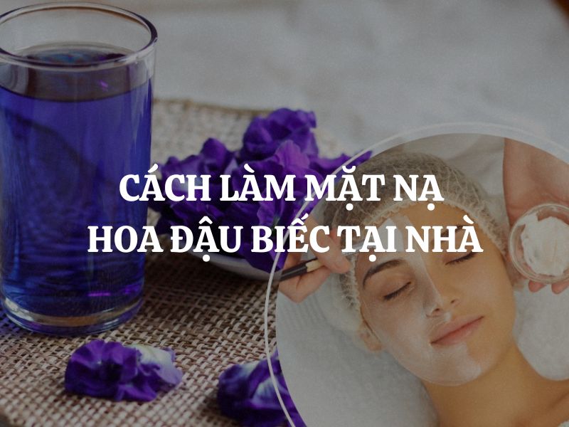 Cách làm mặt nạ hoa đậu biếc tại nhà: Giải pháp dưỡng da đơn giản hiệu quả