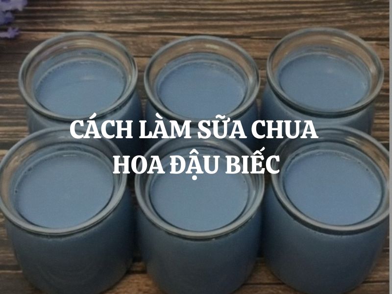 Cách làm sữa chua hoa đậu biếc dẻo mịn, thơm ngon tại nhà cực đơn giản
