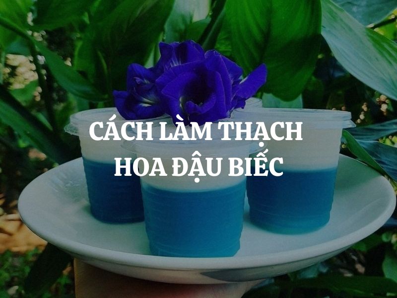 Cách làm thạch hoa đậu biếc thơm ngon, mát lạnh tại nhà cực đơn giản