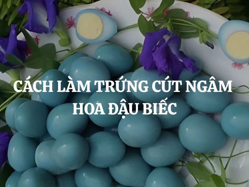 Cách làm trứng cút ngâm hoa đậu biếc ngon miệng lạ mắt cho bữa cơm gia đình