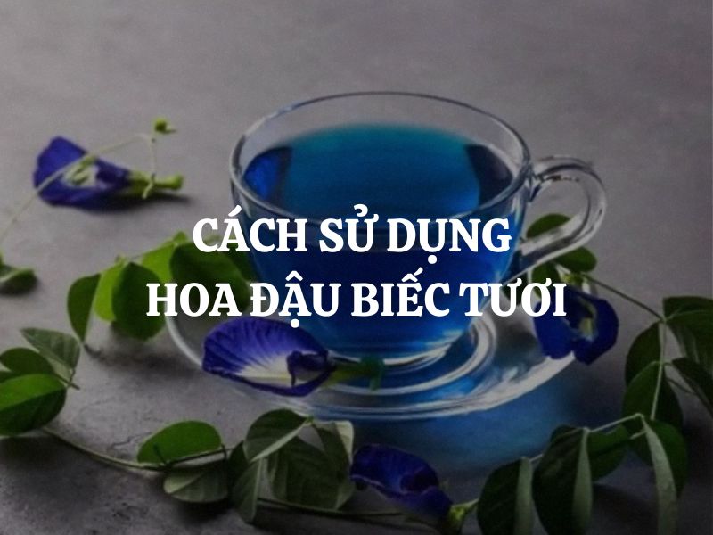 Cách sử dụng hoa đậu biếc tươi trong ẩm thực, làm đẹp và chăm sóc sức khỏe