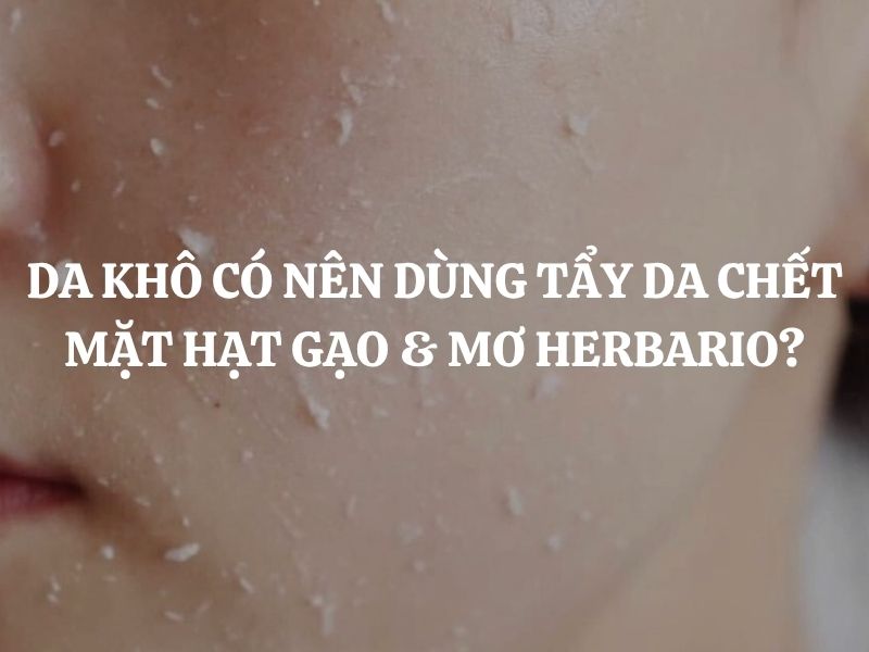 Da khô có nên dùng Tẩy da chết mặt hạt gạo & mơ Herbario? Giải đáp chi tiết