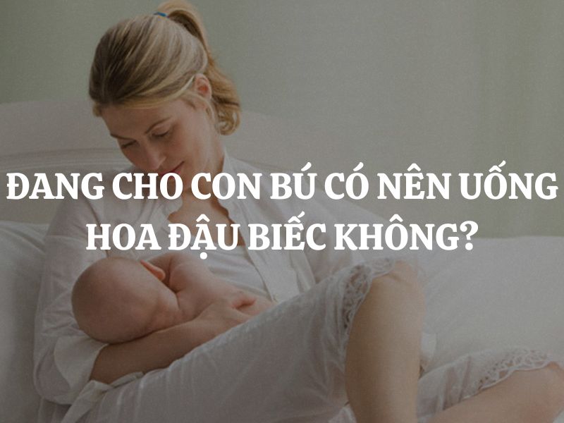 Đang cho con bú có nên uống hoa đậu biếc không? Cách pha hoa đậu biếc an toàn