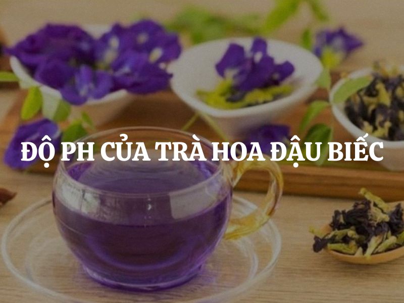 Độ pH của trà hoa đậu biếc: Yếu tố then chốt quyết định màu sắc và trà thảo mộc này