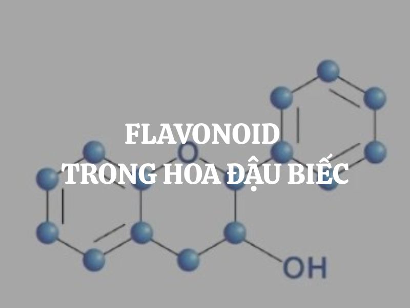 Flavonoid trong hoa đậu biếc: Nguồn dưỡng chất quý từ thiên nhiên
