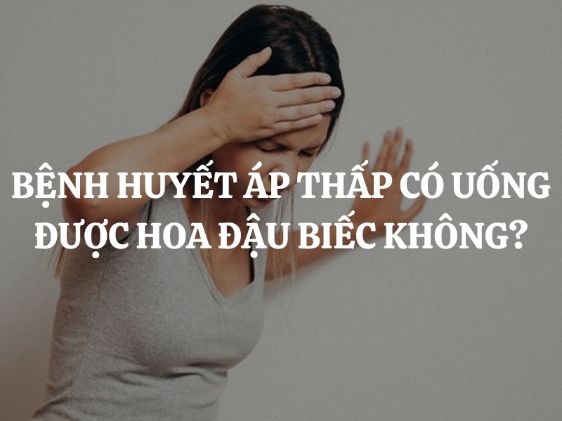 Giải đáp thắc mắc: Bệnh huyết áp thấp có uống được hoa đậu biếc không?