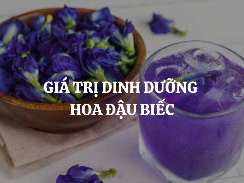 Giải mã giá trị dinh dưỡng hoa đậu biếc: Siêu thực phẩm cho sức khỏe toàn diện