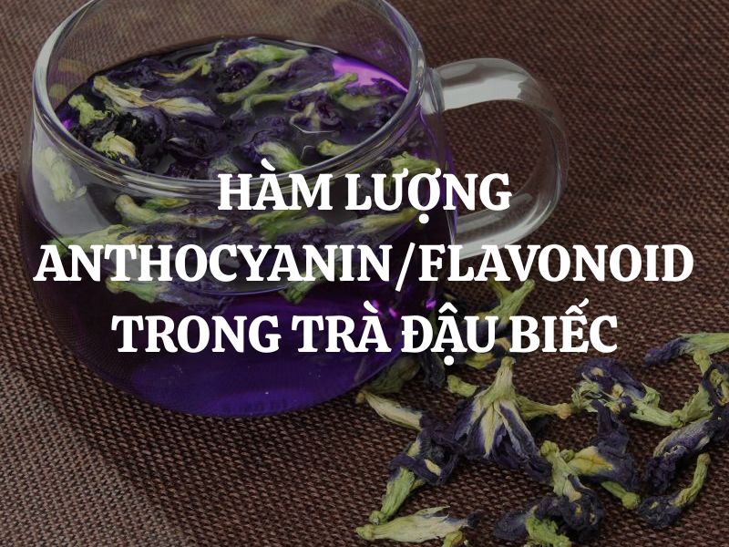 Hàm lượng anthocyanin và Flavonoid trong trà đậu biếc