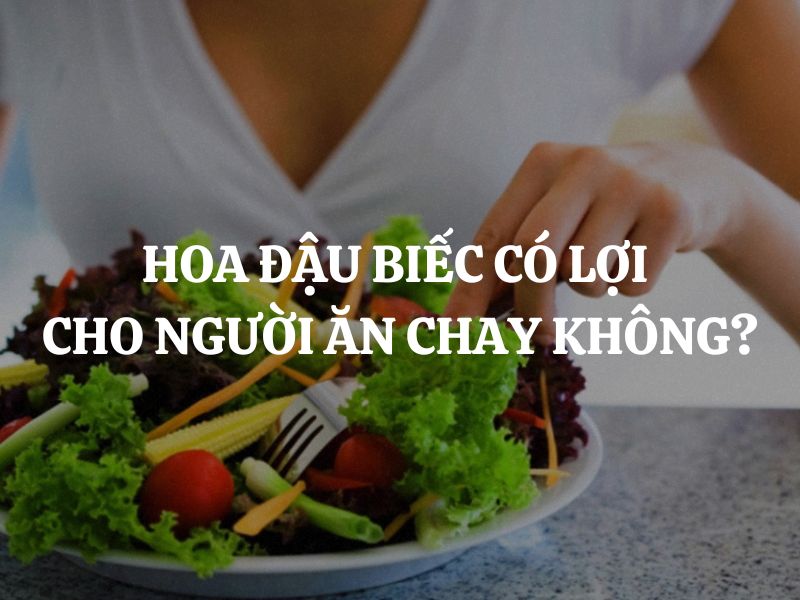 Hoa đậu biếc có lợi cho người ăn chay không? Cách dùng hoa đậu biếc trong chế độ ăn chay