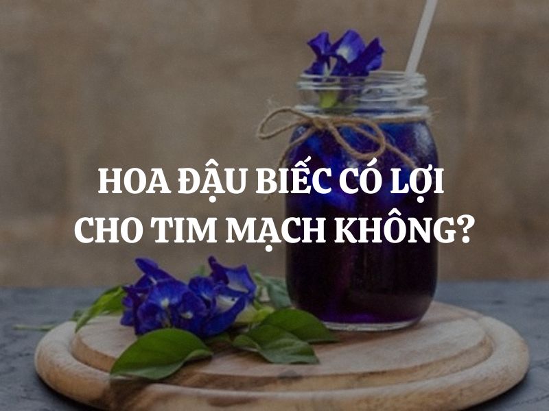 Hoa đậu biếc có lợi cho tim mạch không? Giải đáp chi tiết và toàn diện