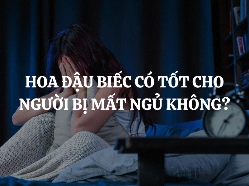 Hoa đậu biếc có tốt cho người bị mất ngủ không? Cách dùng hoa đậu biếc giúp ngủ ngon