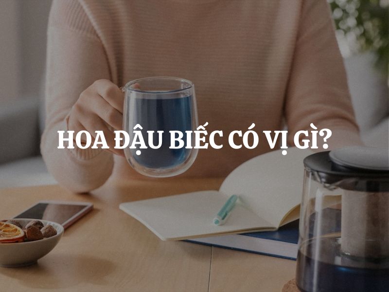 Hoa đậu biếc có vị gì? Tìm hiểu hương vị đặc trưng của hoa đậu biếc ẩm thực