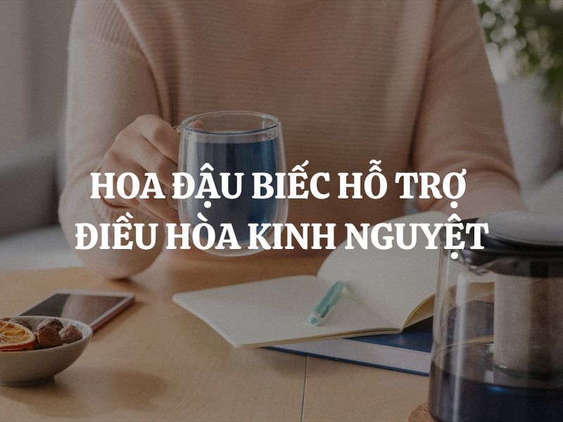 Hoa đậu biếc hỗ trợ điều hòa kinh nguyệt có đúng không? Những lưu ý quan trọng khi dùng
