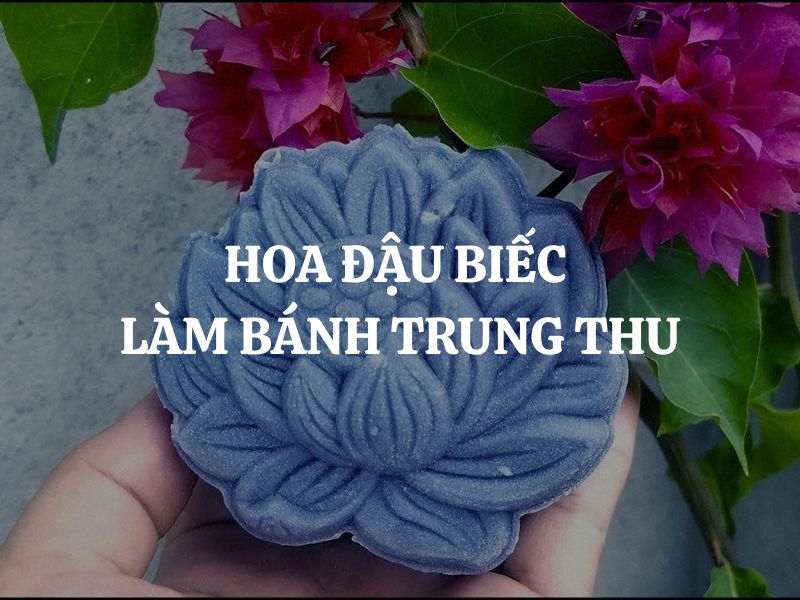 Hoa đậu biếc làm bánh trung thu: Hướng dẫn 2 công thức độc lạ và dễ thực hiện