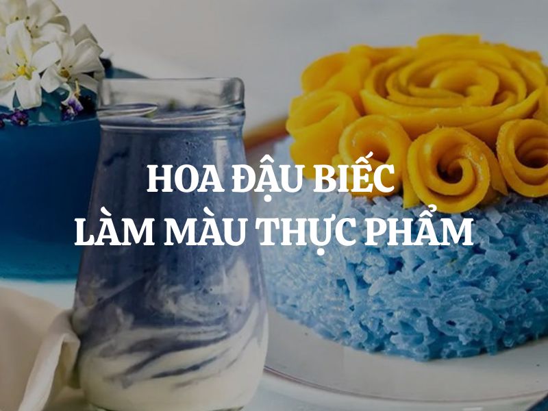 Hoa đậu biếc làm màu thực phẩm: Giải pháp tự nhiên và an toàn