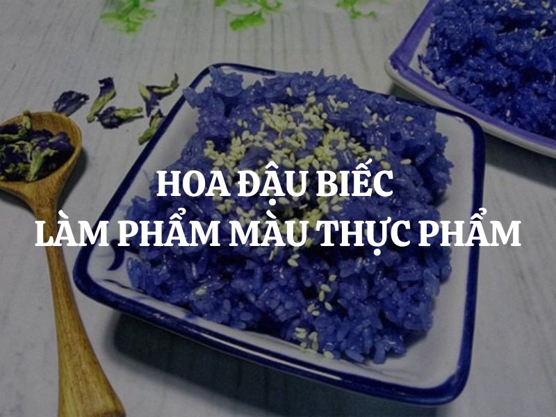 Hoa đậu biếc làm phẩm màu thực phẩm: Xu hướng tự nhiên và an toàn trong chế biến