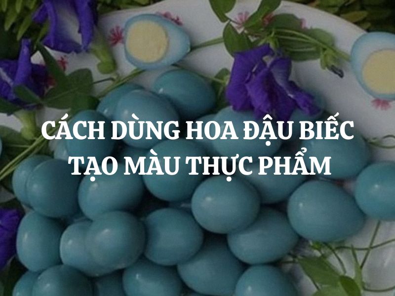 Hướng dẫn cách dùng hoa đậu biếc tạo màu thực phẩm cực dễ dàng