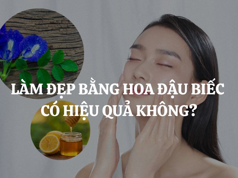 Làm đẹp bằng hoa đậu biếc có hiệu quả không?
