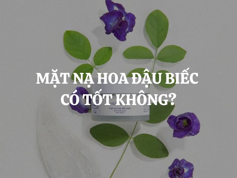 Mặt nạ hoa đậu biếc có tốt không? Tìm hiểu chi tiết từ thành phần đến hiệu quả thực tế
