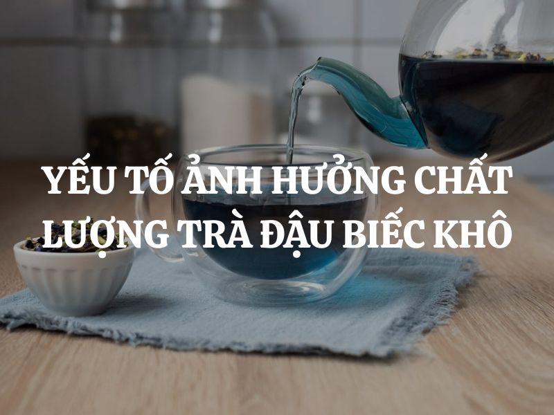 Những yếu tố ảnh hưởng chất lượng trà đậu biếc khô: Hành trình từ bông hoa đến tách trà