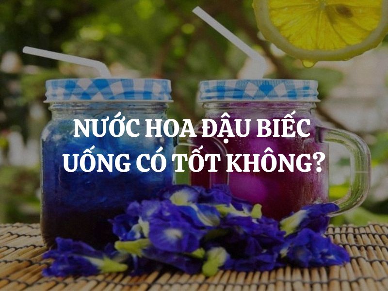 Nước hoa đậu biếc uống có tốt không? Những lợi ích sức khỏe của hoa đậu biếc