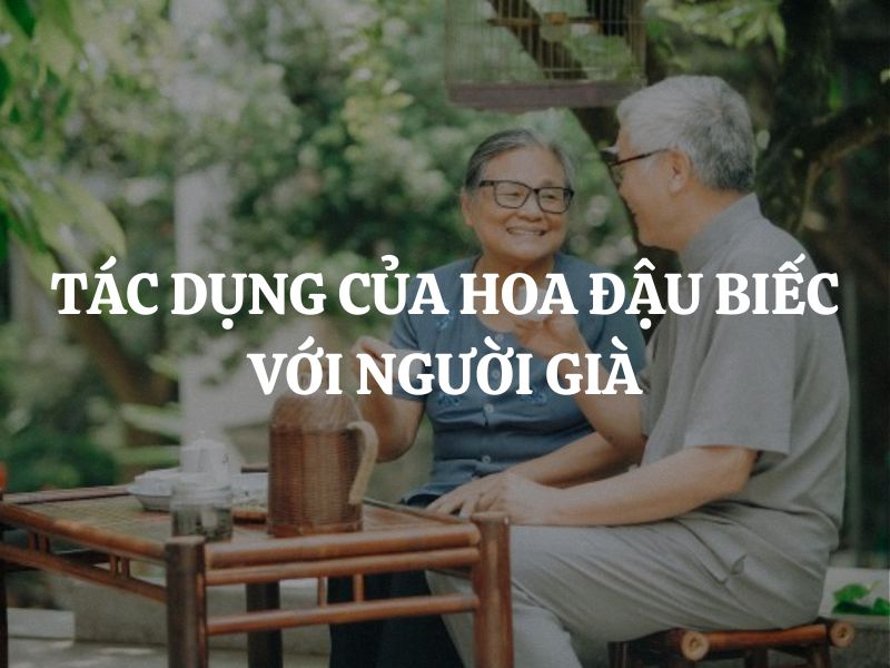 Tác dụng của hoa đậu biếc với người già: Bí quyết chăm sóc sức khỏe người cao tuổi
