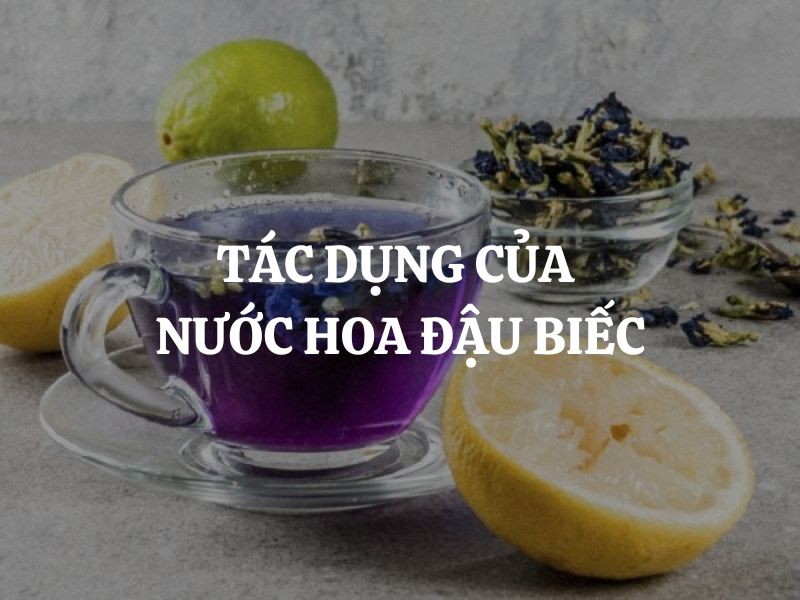 Tác dụng của nước hoa đậu biếc và những lợi ích tuyệt vời cho sức khỏe