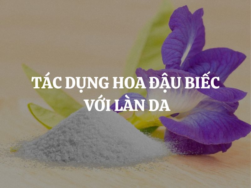 Tác dụng hoa đậu biếc với làn da: Bí quyết làm đẹp tự nhiên từ thiên nhiên