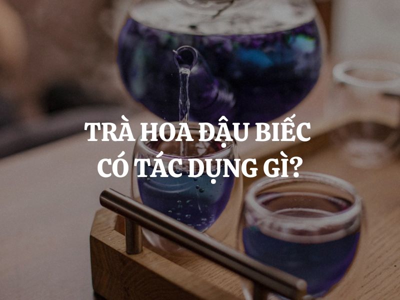 Trà hoa đậu biếc có tác dụng gì? Lợi ích không ngờ từ loài hoa xanh thẳm