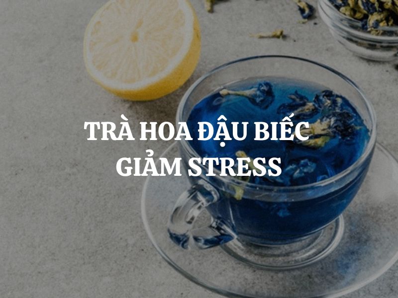 Trà hoa đậu biếc giảm stress: Bí quyết giảm căng thẳng và cải thiện tâm trạng